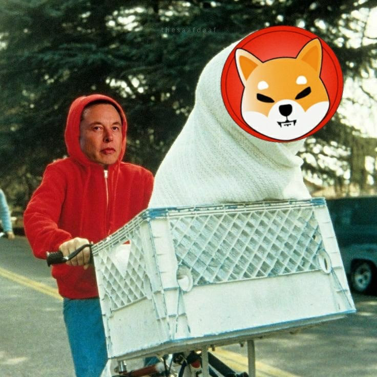 去中心化