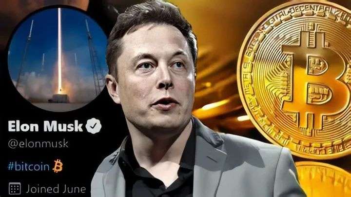 暴涨暴跌的狗狗币，折射出魔怔般的「马斯克崇拜」