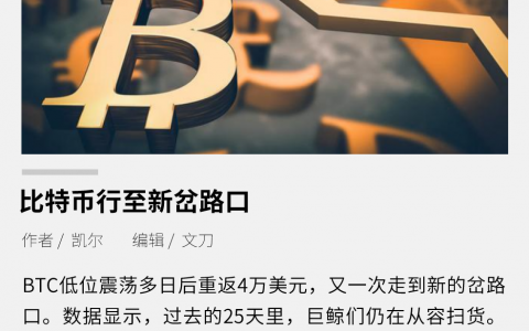 比特币行至新岔路口