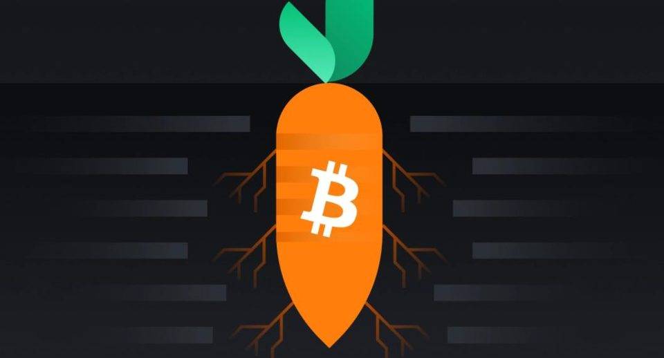 比特币 4 年来首次重要升级，带来了什么重大变化？