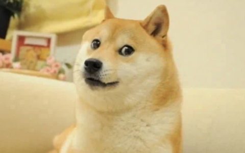 与狗狗币有关的三个男人——一个此生退圈，一个重新入圈，一个要上天
