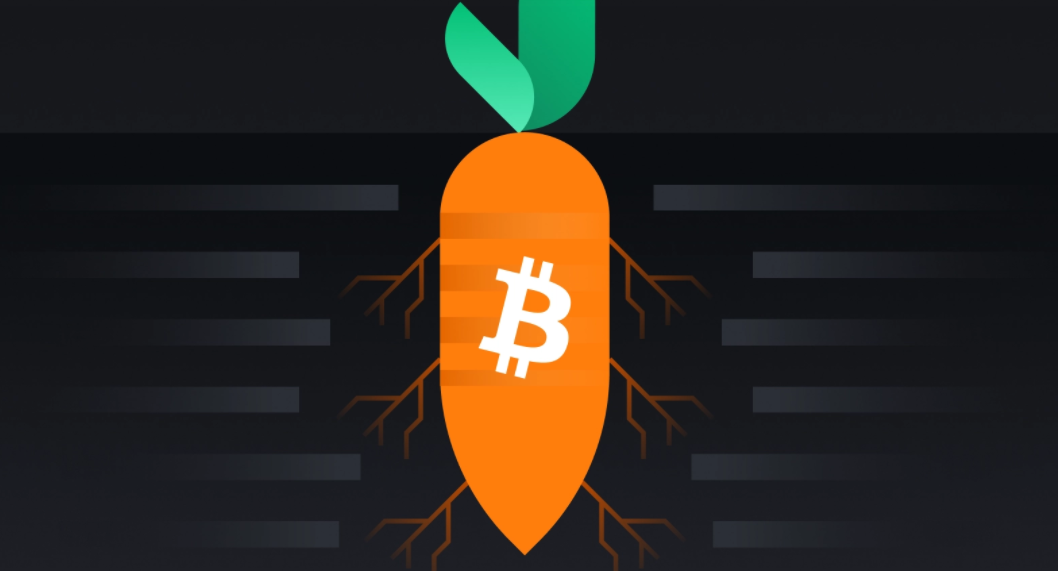 比特币即将迎来的 Taproot 升级，会带来什么重大变化？